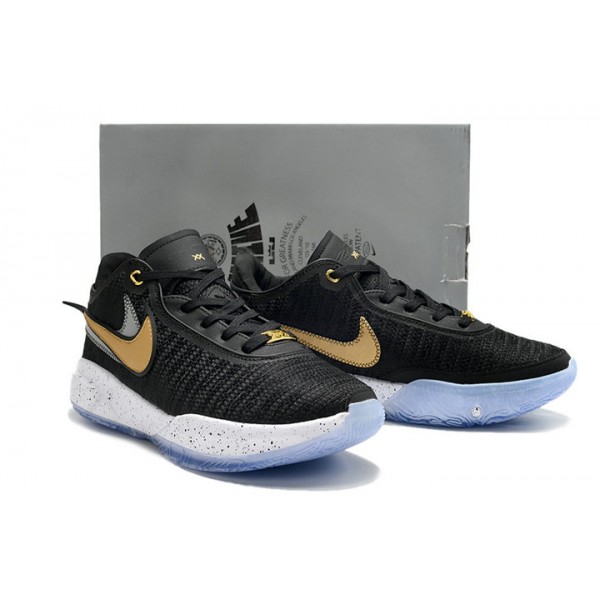 Chaussures de Basketball Nike LeBron 20 Noir Metallic Or DJ5423-003 Homme