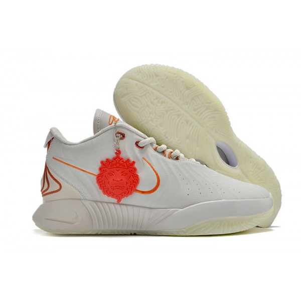 Chaussures de Basketball Nike LeBron 21 Akoya FV2345-001 Homme