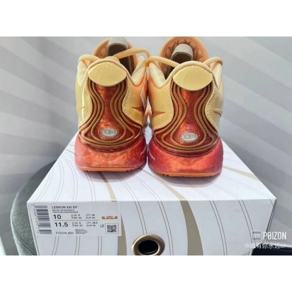 Chaussures de Basketball Nike LeBron 21 Melo Melo FV2346-800 Homme